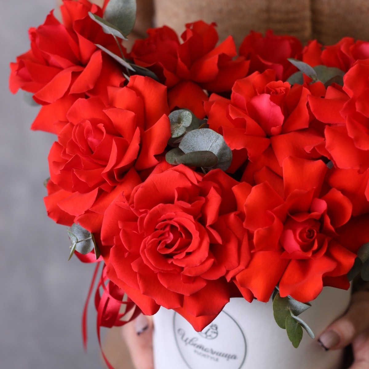 Francuzskie krasnye rozy 7